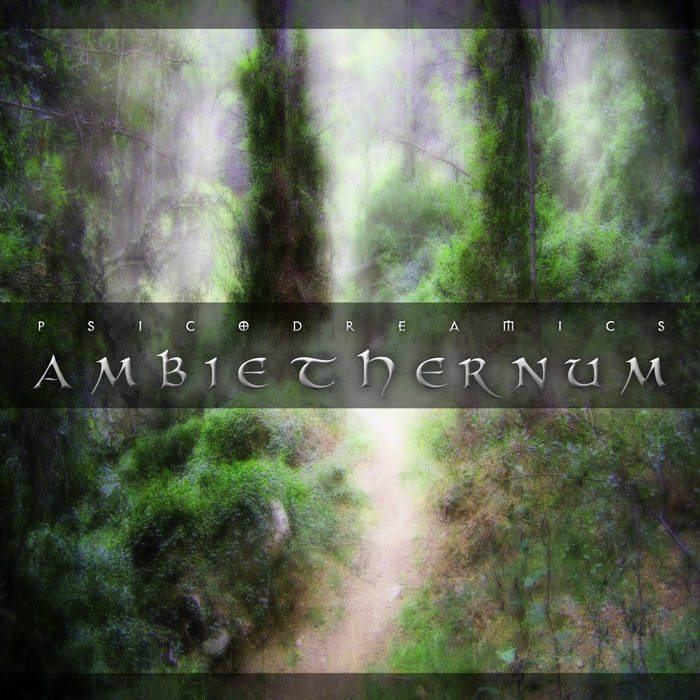 Ambiethernum (Revisited)